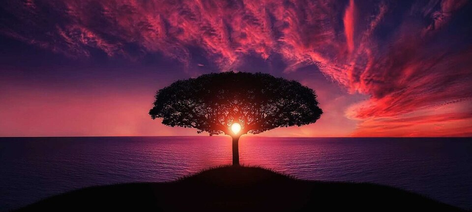 AI in CMS: What Can You Really Do with Your Website?