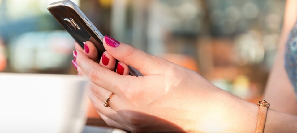 What is the Best CMS for SEO? The Ultimate Guide for Publishers