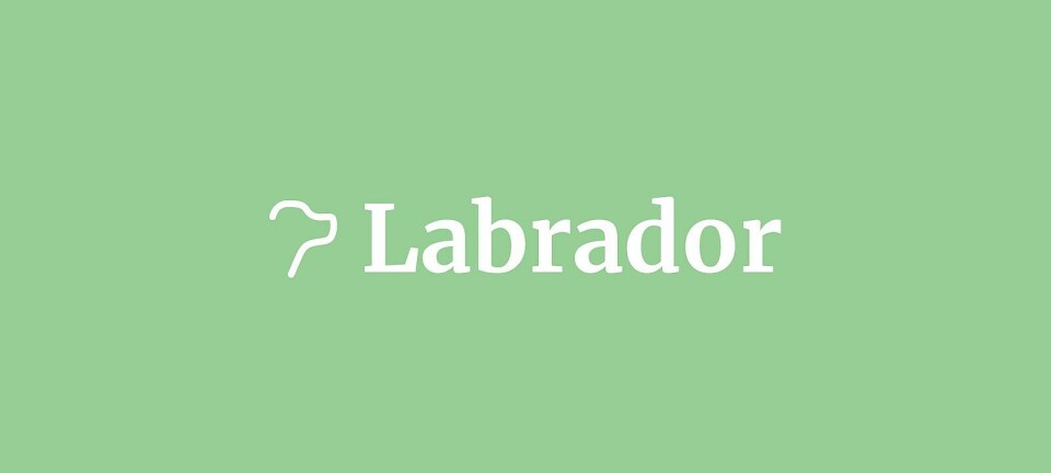 Labrador Updates - May 2025