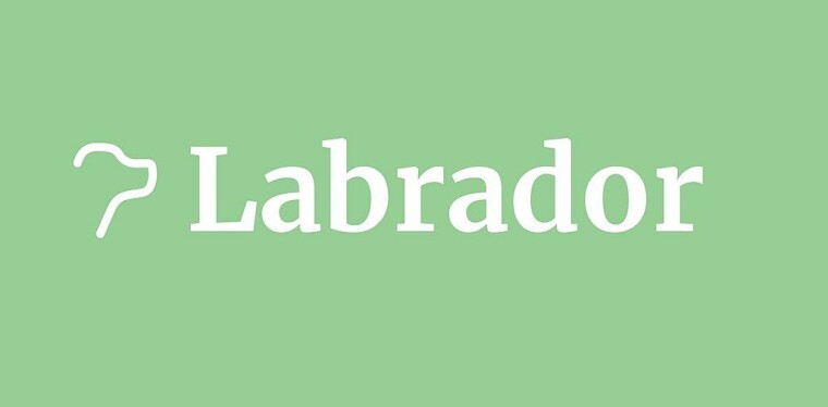 Labrador Updates - June 2025