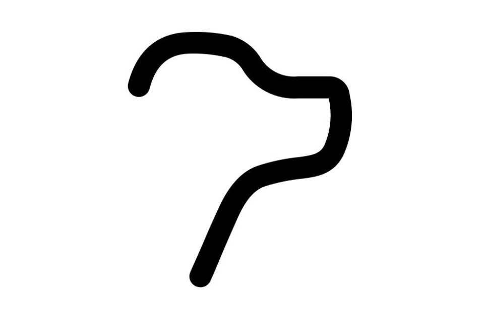 Labrador Updates - November 2024