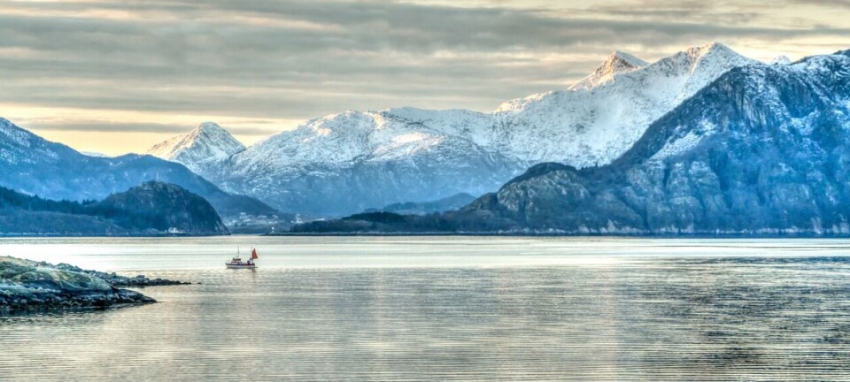 LABRADOR CMS: Labrador CMS enhances storytelling with new AI and audio features.