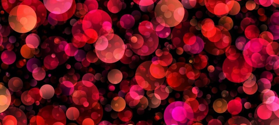 Labrador is now circle friendly