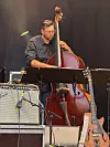 Double bass player performs on stage at Luxembourg Blues & Jazz festival.
